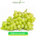 نهال انگور فخری Fakhri Grapes