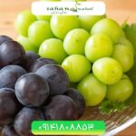 نهال انگور موسکات Muscat Grapes