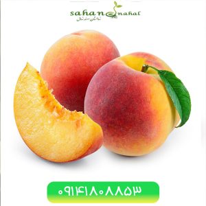 خرید نهال هلو آلبرتا دیررس Alberta late peach seedlings