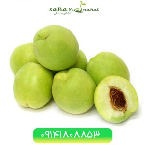 خرید نهال هلو گرین Green peach seedling