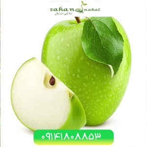 خرید نهال سیب گرانی اسمیت Garni Smith apple seedling